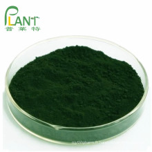 Poudre de chlorophylline de cuivre de sodium de pigment naturel 95%